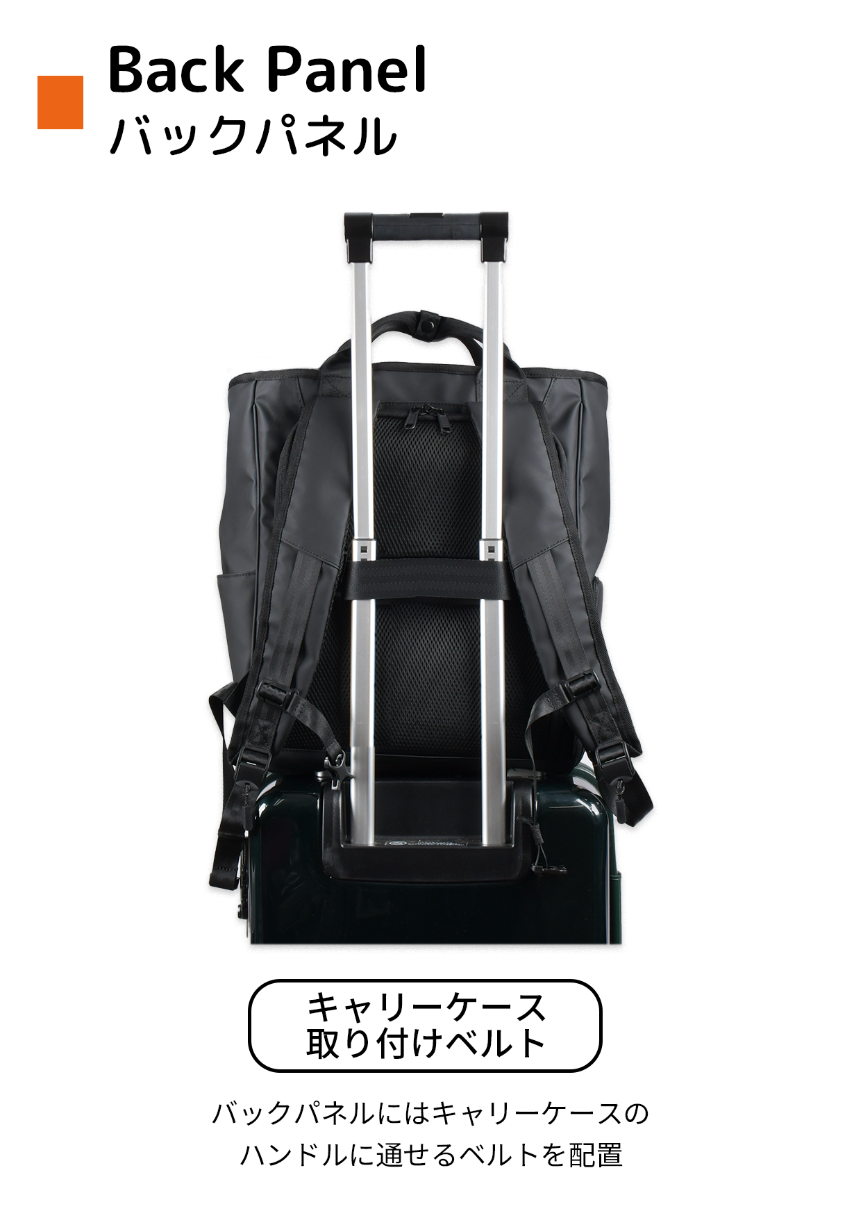 仕事もジムもこれ一つ」汚れにくく、傷にも強い。仕事とジムを両立する